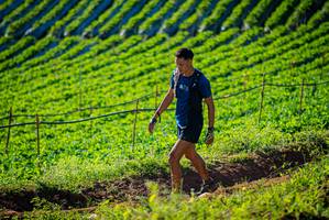 BIB: 
                            <button type="button" onclick="openModal(19160360)" class="btn btn-primary btn-sm float-right btn-popup" data-toggle="modal" data-target=".modal-high-quality">
                        <i class="fas fa-shopping-cart"></i> Add to Cart
                    </button>
                                            <button type="button" onclick="isThisMe(19160360, true)" class="btn btn-success btn-sm float-right btn-popup btn-isme hidden" data-toggle="tooltip" data-placement="bottom" title="นี่คือรูปของคุณใช่ไหม คลิกที่นี่เพื่อเอาเข้าอัลบั้ม">
                        <i class="fas fa-plus"></i> Add to album
                    </button>
                    <button type="button" onclick="isThisMe(19160360, false)" class="btn btn-warning btn-sm float-right btn-popup btn-isnotme hidden">
                        <i class="fas fa-ban"></i> Remove from album
                    </button>